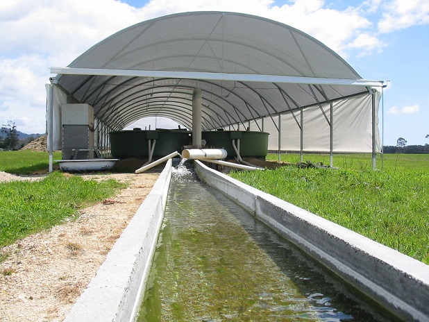aquaculture shed redpath