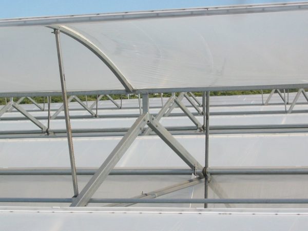 ridder rack and pinions redpath ventilator greenhouse