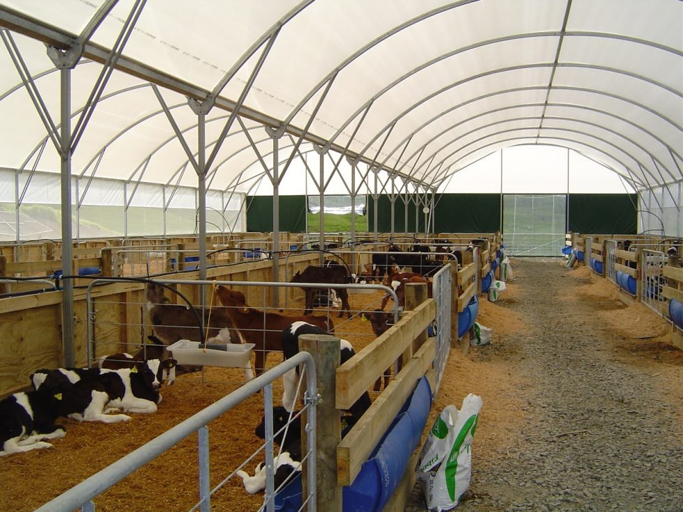 Calf shelters | Redpath