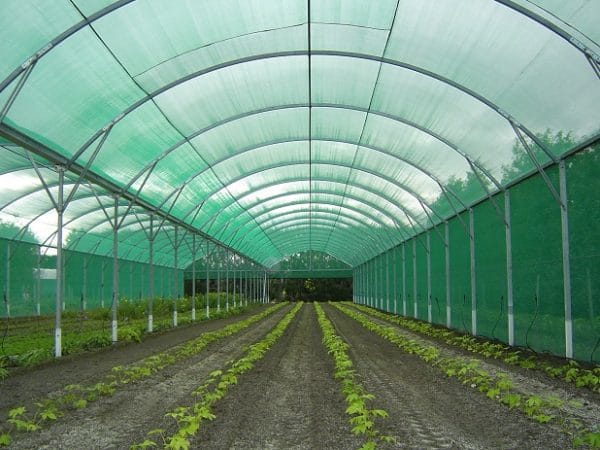 shadecloth for shadehouses greenhouses redpath nz